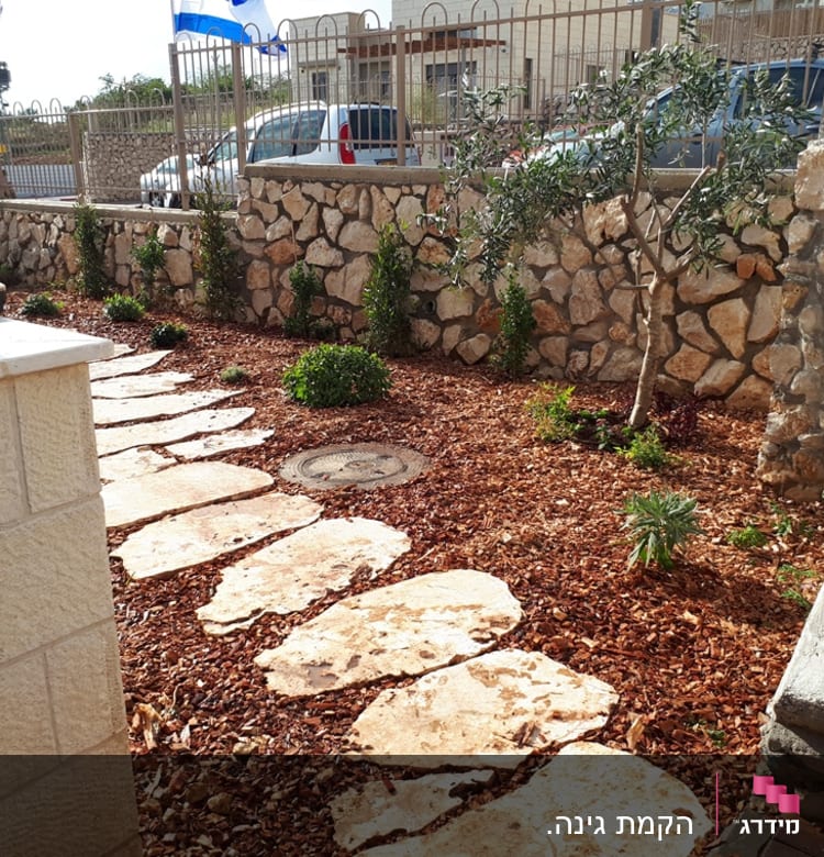 שביל אבנים בגינה עם עצים ושיחים קטנים